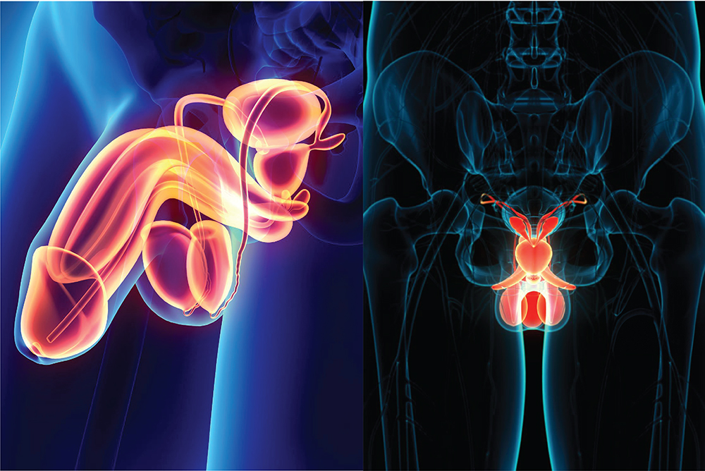 COD单页系统建站,联系QQ:494906791/微信:Cod_web